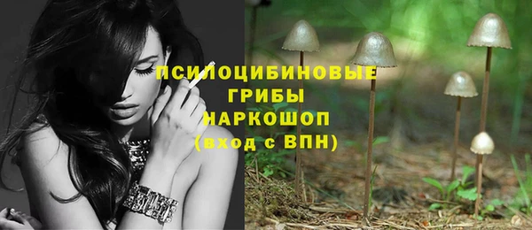 PSILOCYBIN Вяземский