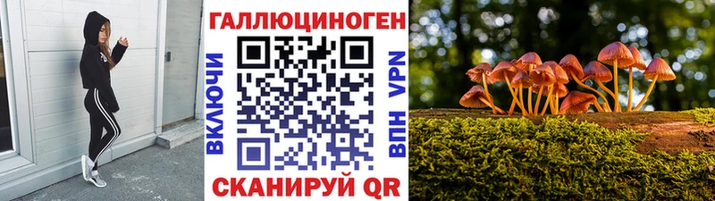 Галлюциногенные грибы ЛСД  Знаменск 